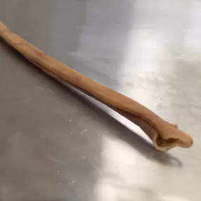 Carnaza Masticable